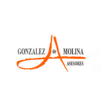 GONZÁLEZ DE MOLINA ASESORES